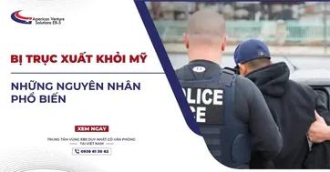 BỊ TRỤC XUẤT KHỎI MỸ - NHỮNG NGUYÊN NHÂN PHỔ BIẾN