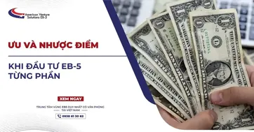 ƯU VÀ NHƯỢC ĐIỂM KHI ĐẦU TƯ EB-5 TỪNG PHẦN