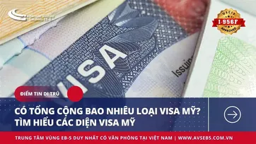 CÓ TỔNG CỘNG BAO NHIÊU LOẠI VISA MỸ? TÌM HIỂU CÁC DIỆN VISA MỸ