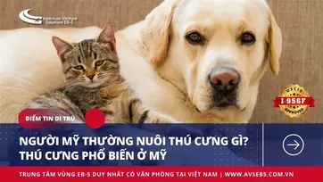 NGƯỜI MỸ THƯỜNG NUÔI THÚ CƯNG GÌ? THÚ CƯNG PHỔ BIẾN Ở MỸ