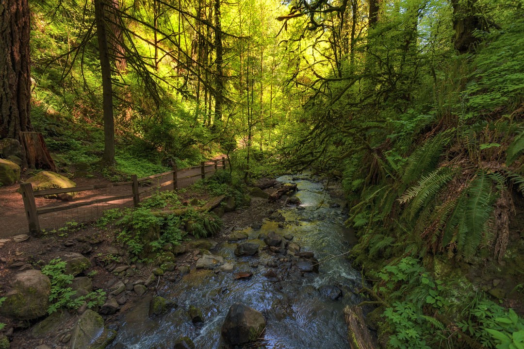 PORTLAND: THÀNH PHỐ YÊN BÌNH TRONG LÒNG BANG OREGON