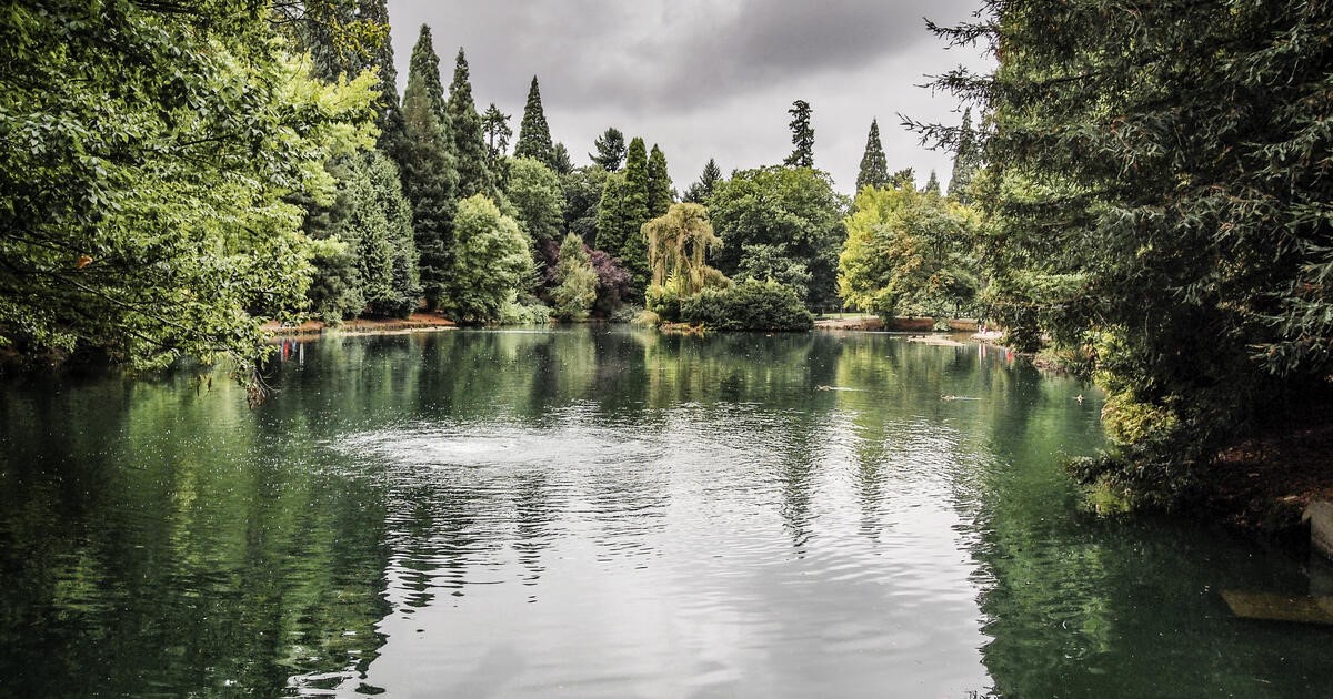 PORTLAND: THÀNH PHỐ YÊN BÌNH TRONG LÒNG BANG OREGON