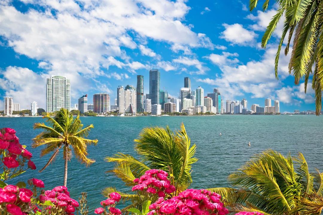 MỘT NGÀY Ở TIỂU BANG FLORIDA: ĐI ĐÂU? CHƠI GÌ?