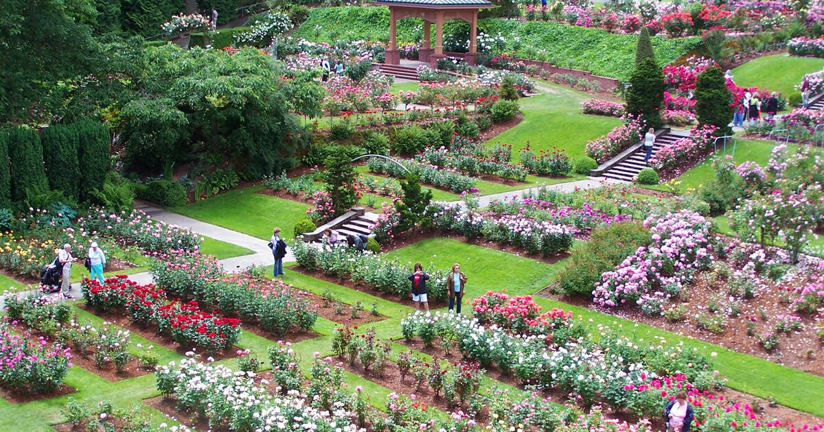 PORTLAND: THÀNH PHỐ YÊN BÌNH TRONG LÒNG BANG OREGON