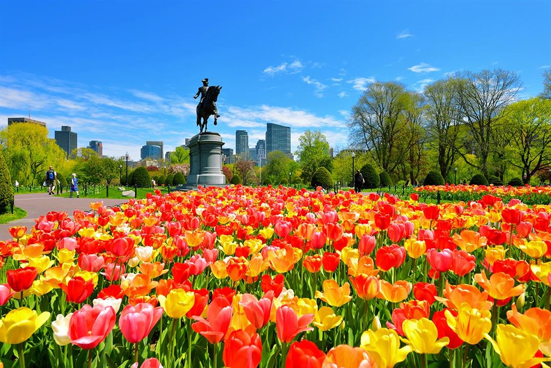 KHU VƯỜN NÀO NỔI TIẾNG NHẤT THÀNH PHỐ BOSTON?