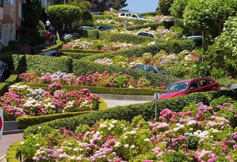 THÀNH PHỐ SAN FRANCISCO CÓ GÌ THÚ VỊ?