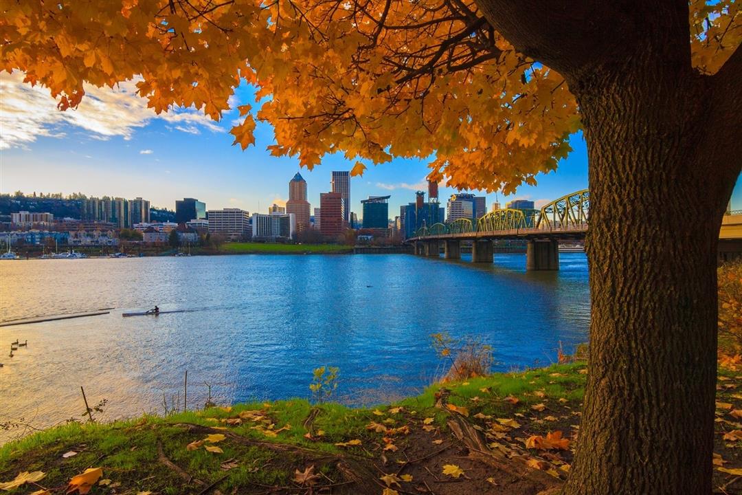 PORTLAND: THÀNH PHỐ YÊN BÌNH TRONG LÒNG BANG OREGON