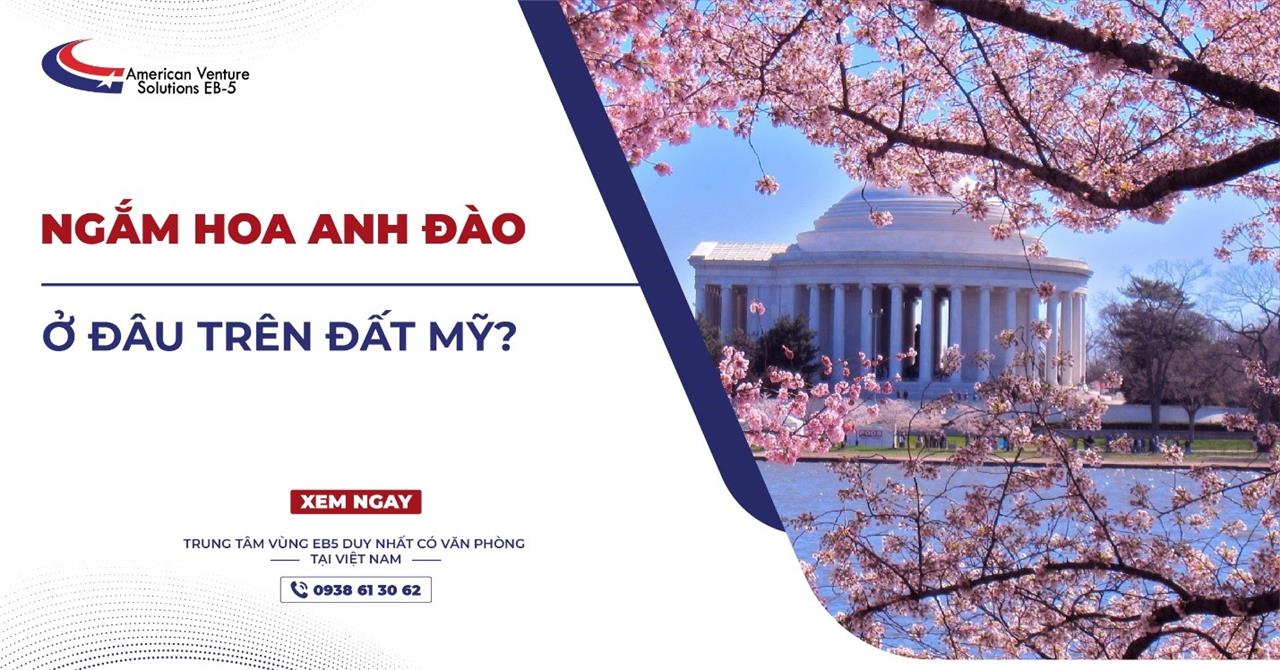 NGẮM HOA ĐÀO Ở ĐÂU TRÊN ĐẤT MỸ?