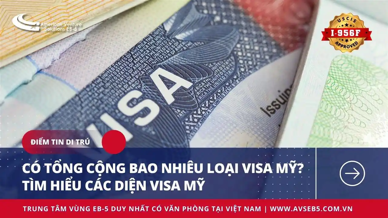 CÓ TỔNG CỘNG BAO NHIÊU LOẠI VISA MỸ? TÌM HIỂU CÁC DIỆN VISA MỸ